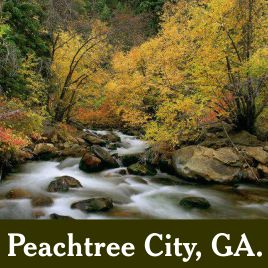 Peachtree City, GA